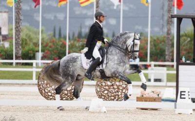 Finalizado el campeonato de España de caballos jóvenes
