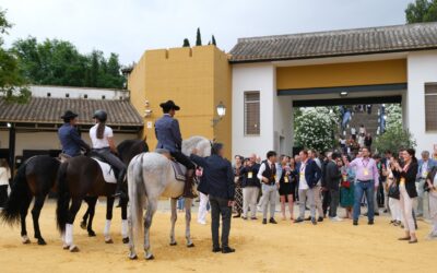 Colaboración con el Congreso Mundial de la Viña y el Vino de Jerez