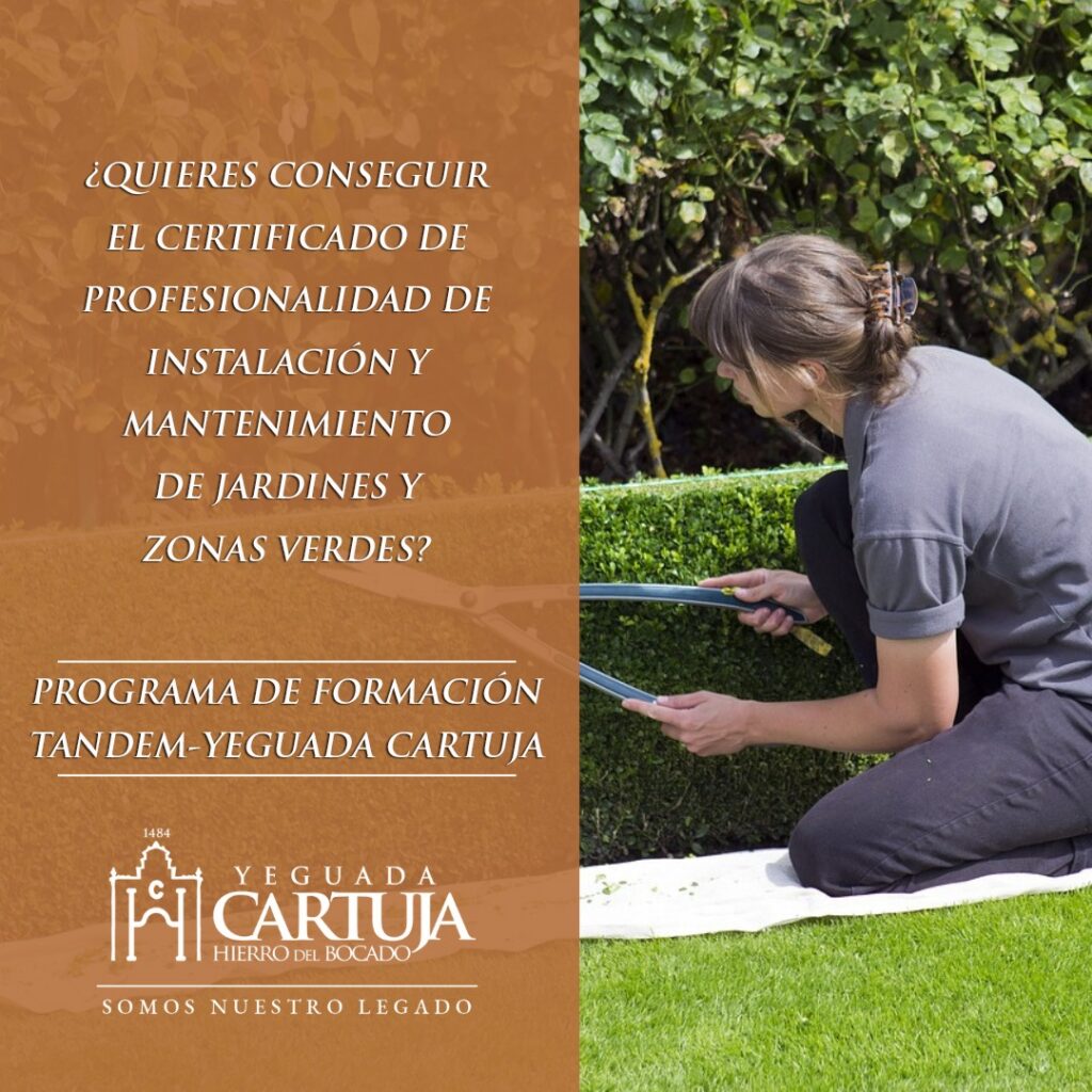 Programa TANDEM mantenimiento jardines