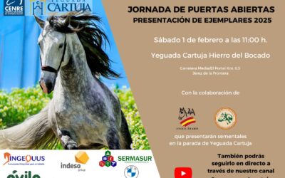 Yeguada Cartuja Hierro del Bocado presenta a sus ejemplares en una jornada de puertas abiertas el 1 de febrero