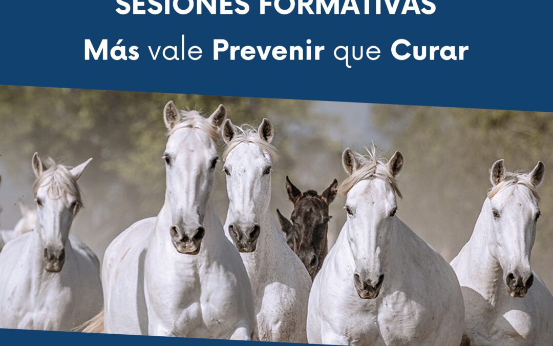 Programa formativo "Mas Vale Prevenir que Curar"