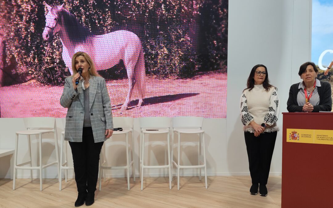 Judit Anda, Patricia Sibajas y Ángela Valle durante la presentación