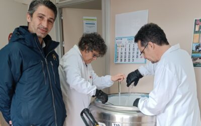 El CENRE-Yeguada Cartuja deposita en el Banco Nacional de Germoplasma Animal (BNGA) nuevas muestras cumpliendo con la tarea de favorecer la conservación en el sector equino