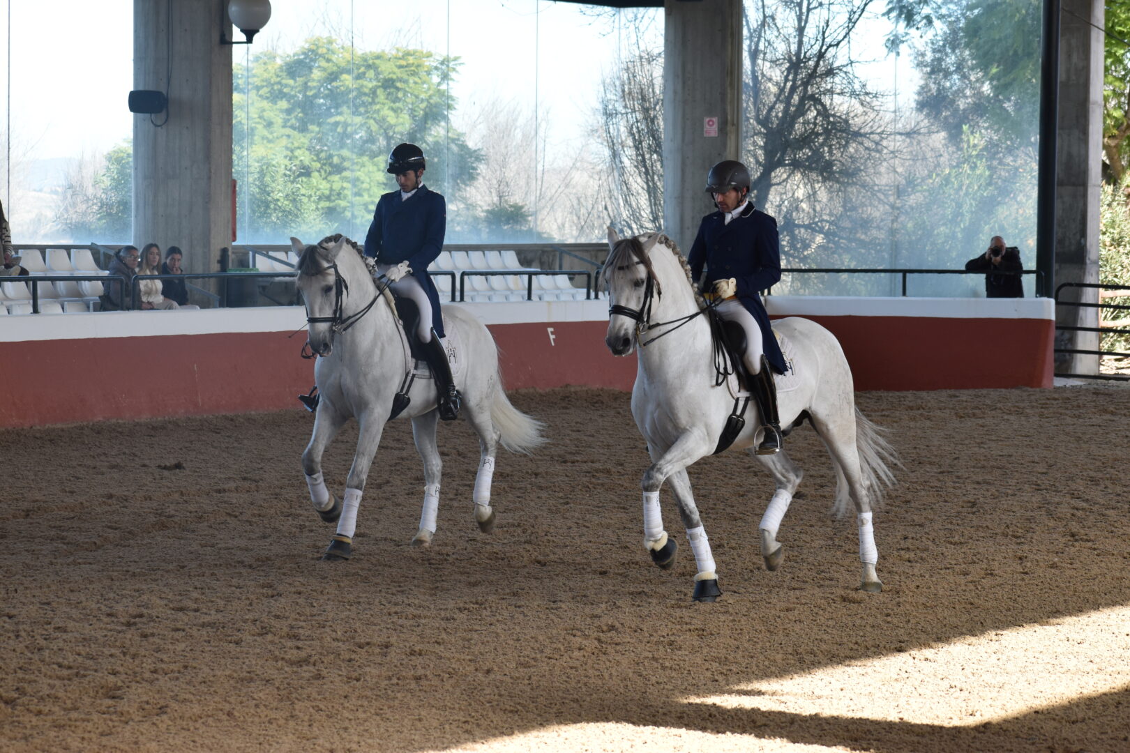 Altanero CCIII y Andaluz CLVII