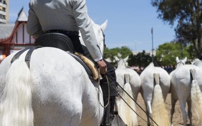 Yeguada Cartuja celebrará la Feria del Caballo de Jerez en sus espectáculos de los días 17 y 24 de mayo
