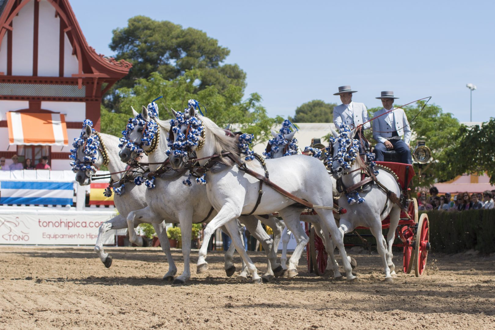 Coche de caballos