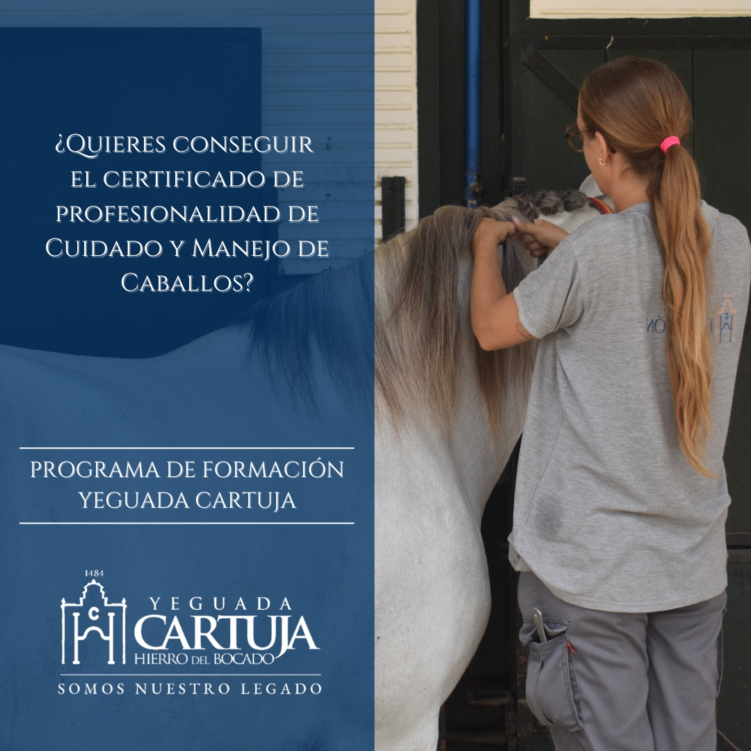 cuidado y manejo de caballos