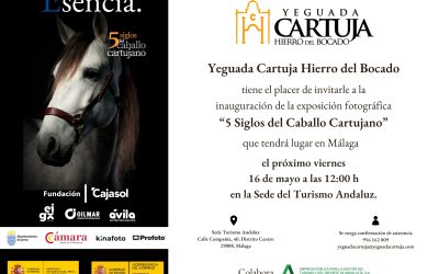 Yeguada Cartuja inaugurará en Málaga la exposición fotográfica «Cinco Siglos del Caballo Cartujan