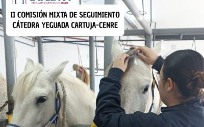 La Comisión de Seguimiento destaca la capacidad de la Cátedra Yeguada Cartuja-CENRE para impulsar nuevos proyectos
