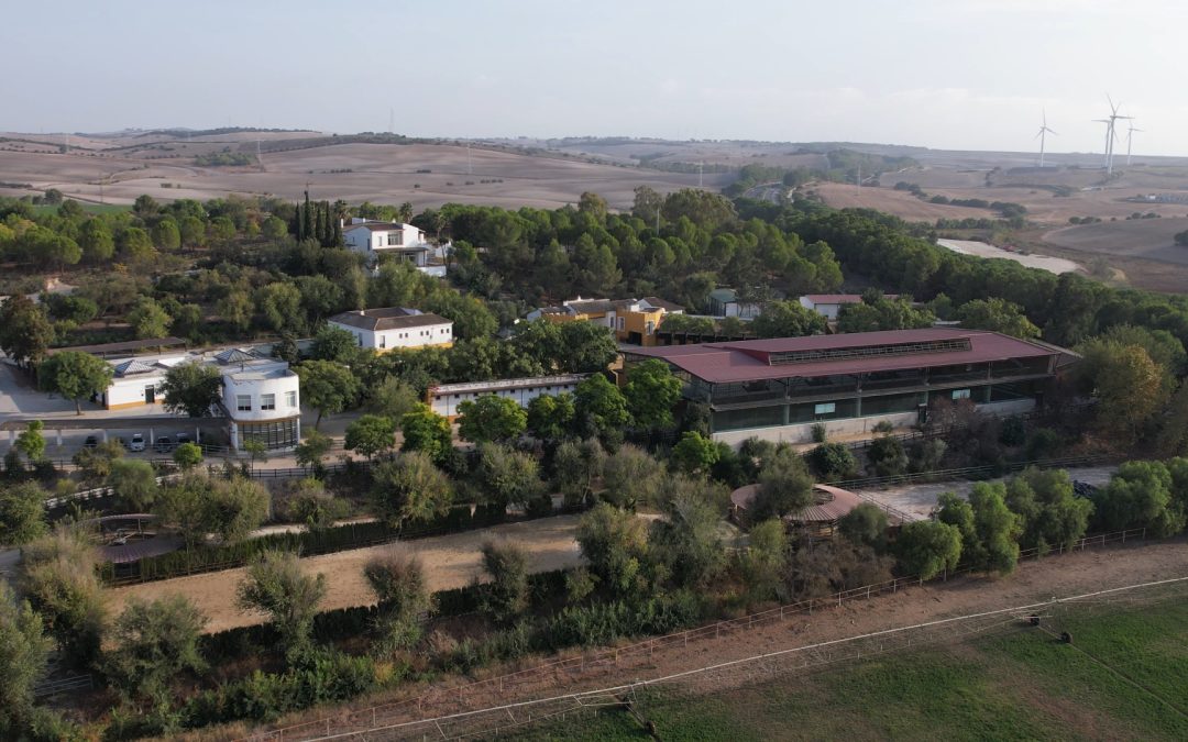 Yeguada Cartuja