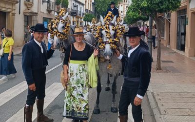 Yeguada Cartuja Hierro del Bocado alcanza un exitoso resultado en el I Concurso Internacional de Enganchez de Tradición Ciudad de Ronda