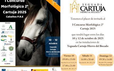 Yeguada Cartuja celebra con éxito su primer Concurso Morfológico