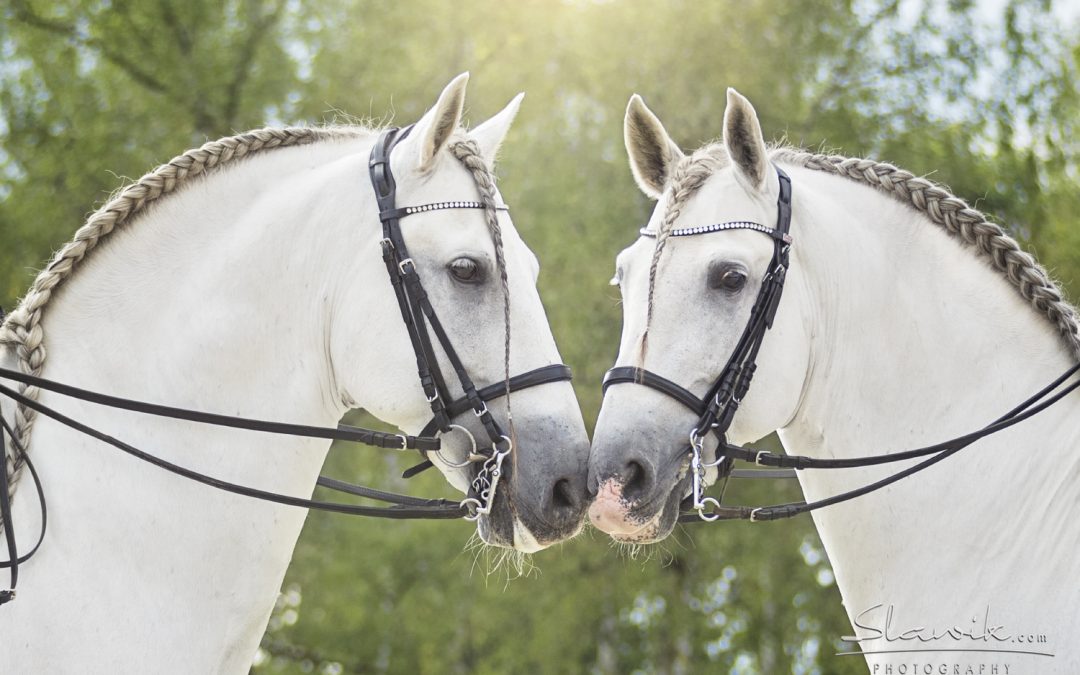 Valioso IX y Valioso X