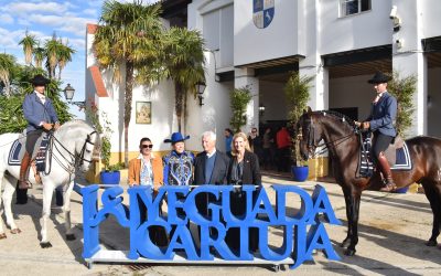 Tres caballos del Hierro del Bocado, finalistas en el campeonato del mundo del PRE, SICAB 2025
