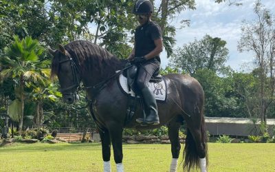 Caballos del Hierro del Bocado por el mundo: Los cartujanos que triunfan en Tailandia: Gracioso XCVI y Risueña LXIV