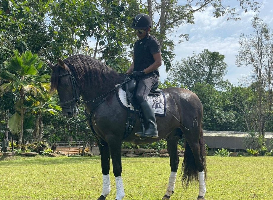 Gracioso en Tailandia