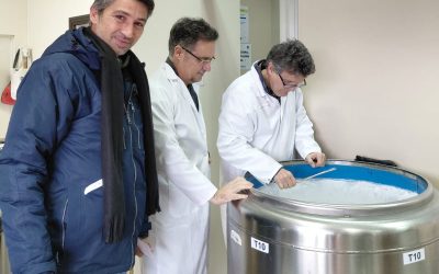 El CENRE-Yeguada Cartuja refuerza la conservación genética equina con un nuevo depósito en el Banco Nacional de Germoplasma Animal