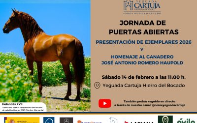 Yeguada Cartuja celebrará la IV Jornada de Puertas Abiertas el próximo 14 de febrero