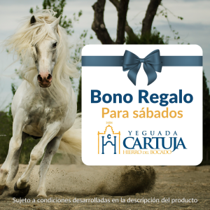 BONO REGALO PARA SÁBADOS