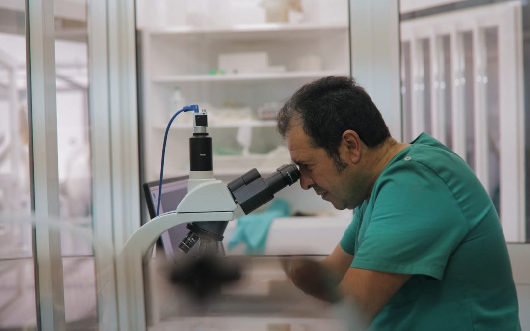 Yeguada Cartuja Hierro del Bocado certificación ISO 9001 en su Centro de Reproducción Equina