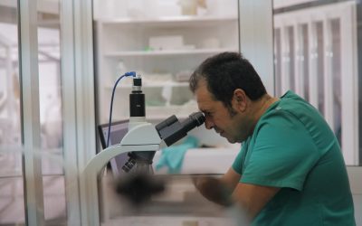 Yeguada Cartuja revalida la certificación ISO 9001 y refuerza su compromiso con la excelencia en los servicios reproductivos equinos