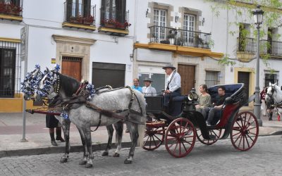 Yeguada Cartuja Hierro del Bocado participa un año más en el tradicional paseo solidario de Jerez en favor de la Asociación de Niños con Síndrome Down (CEDOWN)