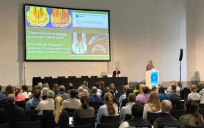 La Universidad de Córdoba y el Centro Nacional de Referencia Equina Yeguada  Cartuja avanzan en un estudio para mejorar la determinación de la edad en potros  de Pura Raza Española.