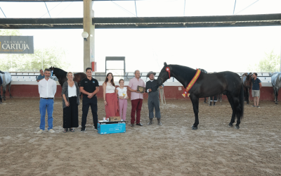 El Concurso Morfológico Cartuja se consolida en Jerez dentro de la Red Internacional de Concursos del Pura Raza Española