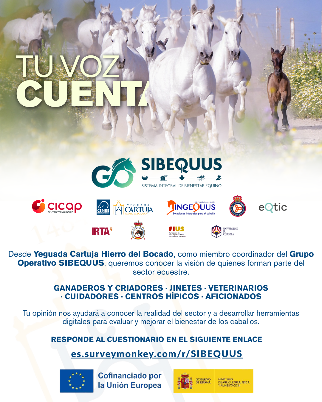 CUESTIONARIO SIBEQUUS (1) Noches de la Yeguada 2026