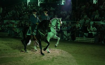 Yeguada Cartuja Hierro del Bocado y Coudelaria de Alter Real hacen historia con un primer espectáculo conjunto en Portugal