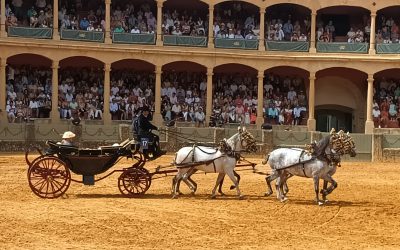 El Enganche de Yeguada Cartuja, consigue la segunda posición en Ronda