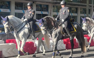 Magnífico de Cartuja hace historia como primer caballo de Yeguada Cartuja Hierro del Bocado en participar en el Desfile de la Fiesta Nacional